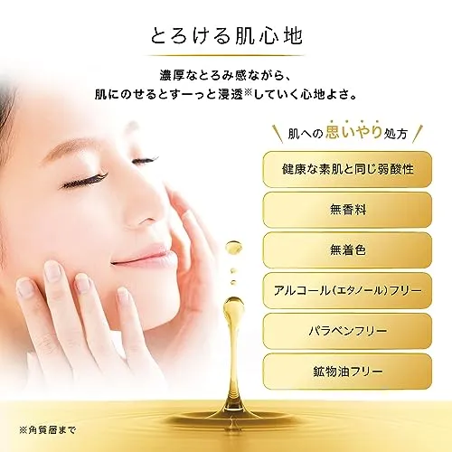 Hada Labo Gokujun Premium Hyaluronic Acid Refill Beauty Essence 170mL