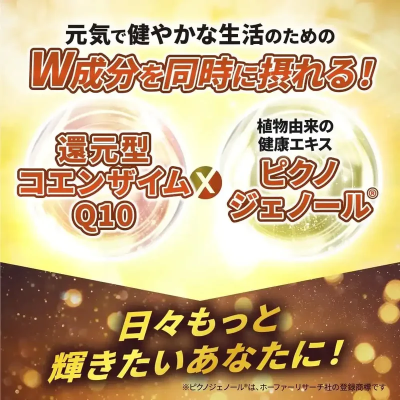 Kobayashi Pharmaceutical Coenzyme Q10 and Pinogenol Supplement