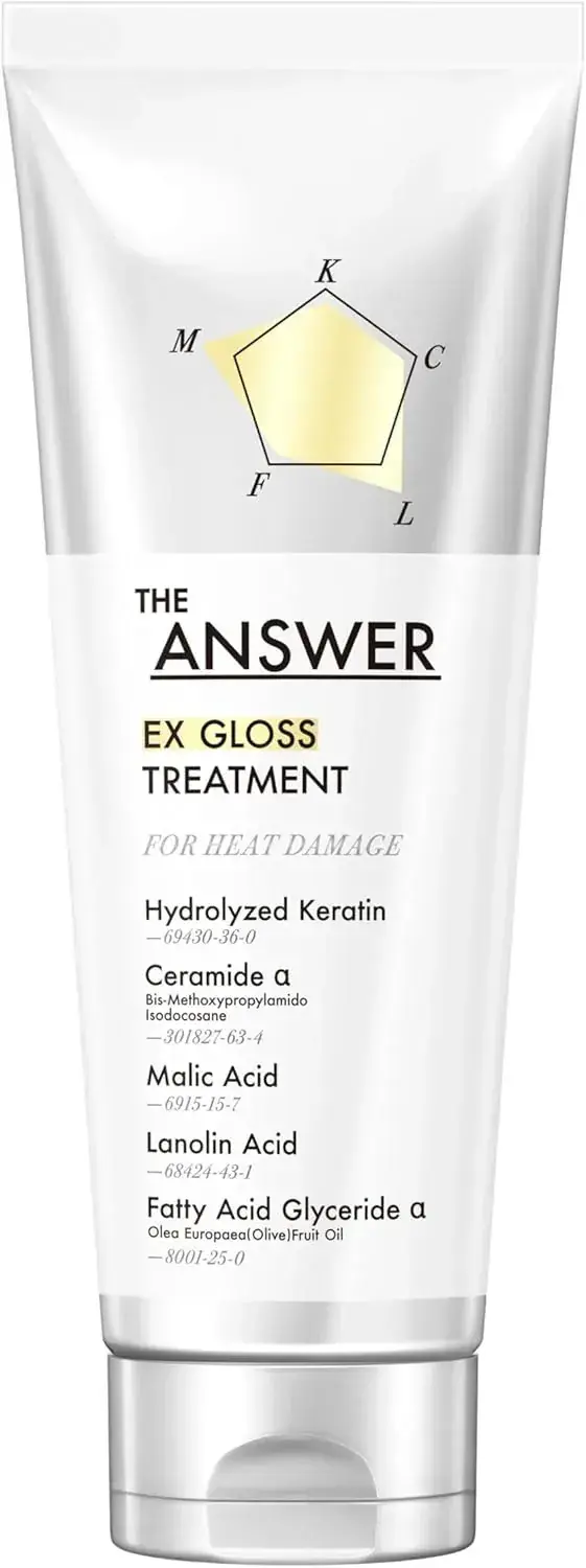 Kao The Answer EX Glossy Hair Treatment Heat Damage Repair 220g