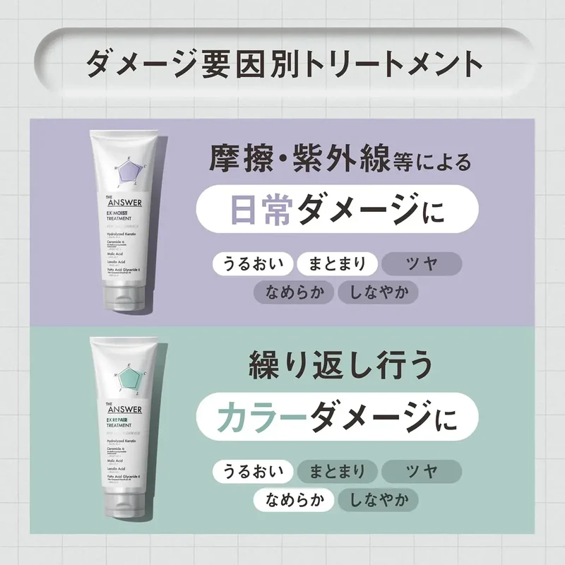 Kao The Answer EX Glossy Hair Treatment Heat Damage Repair 220g