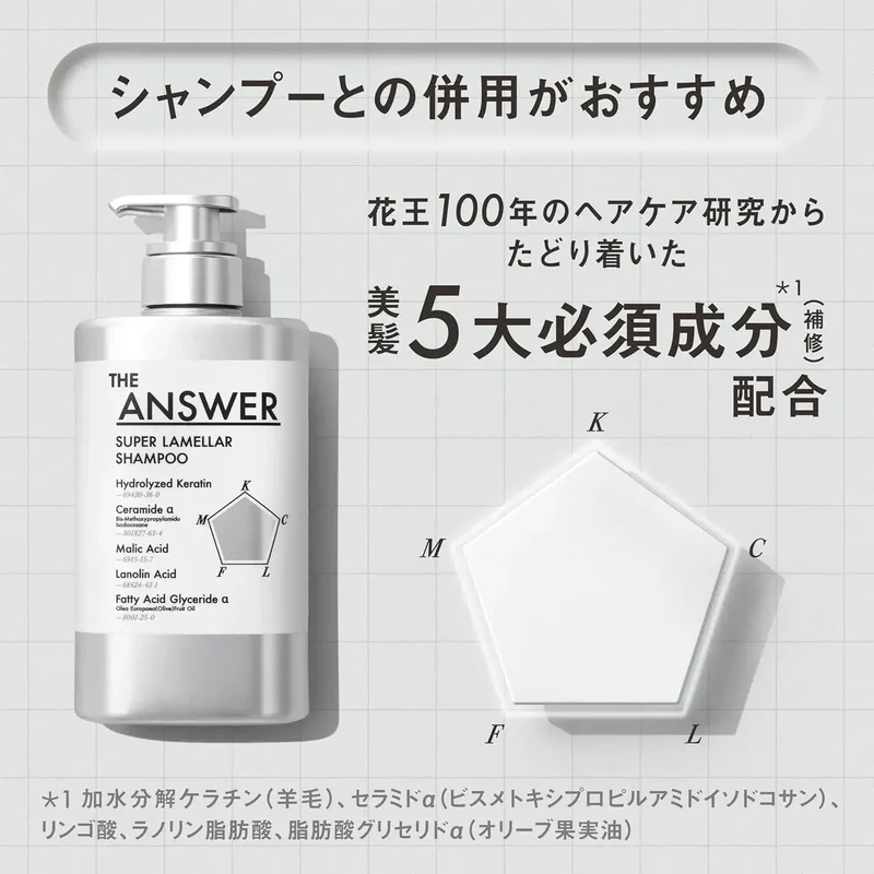 Kao The Answer EX Glossy Hair Treatment Heat Damage Repair 220g