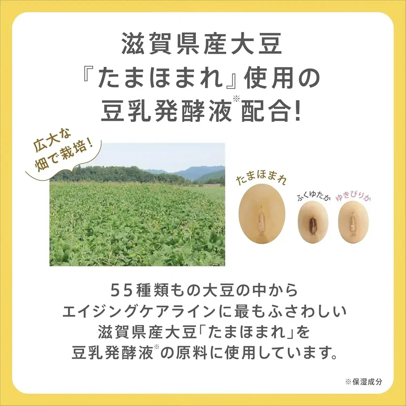 Nameraka Honpo Soy Milk Retinol Wrinkle Night Cream 50g