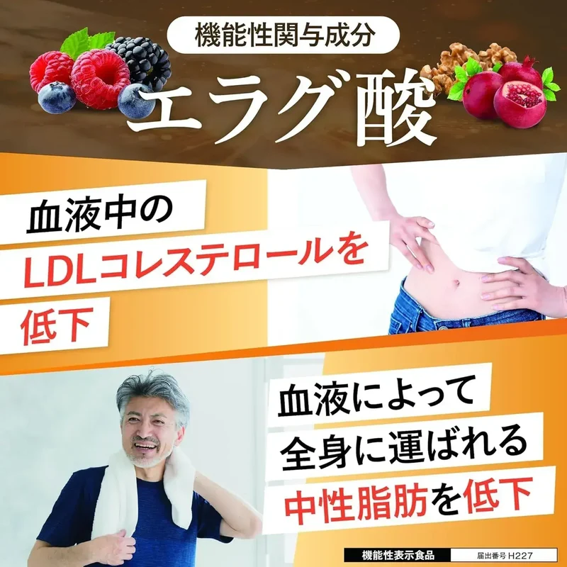 Taisho Pharmaceutical Health Manage Cholesterol Tablets