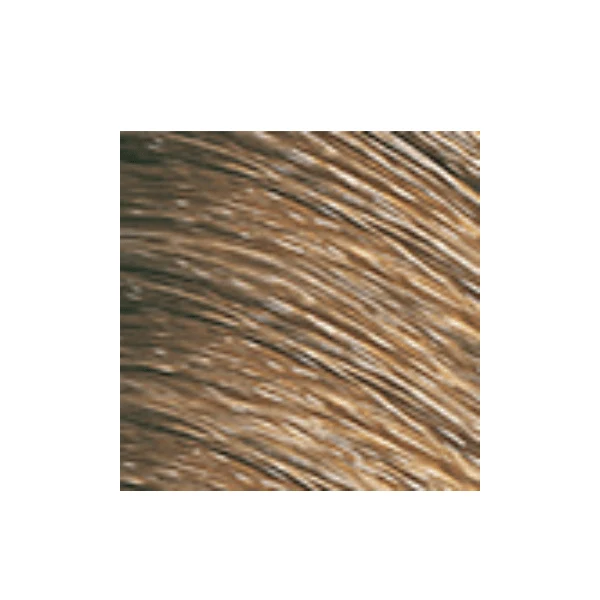 Coloration permanente Color Perfect