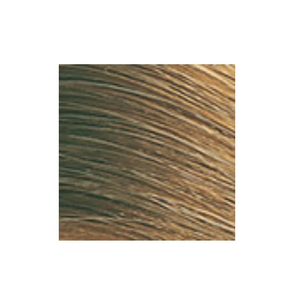 Coloration permanente Color Perfect