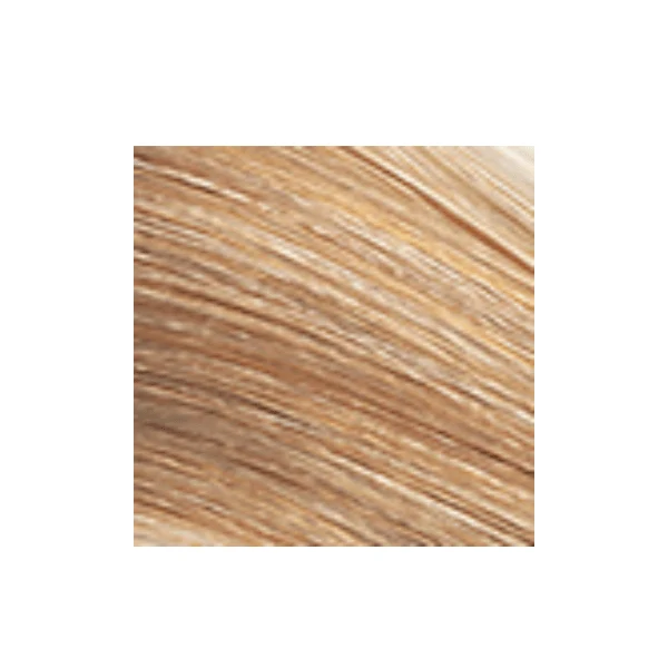 Coloration permanente Color Perfect