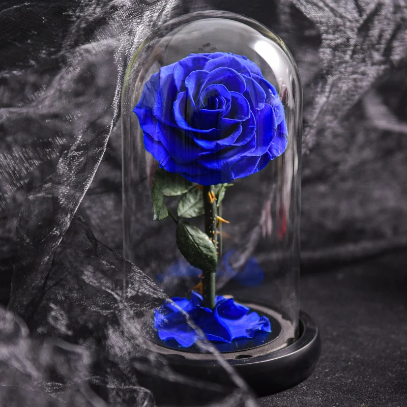 Rose naturelle stabilisée sous cloche en verre