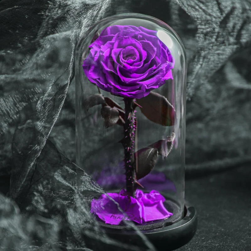 Rose naturelle stabilisée sous cloche en verre