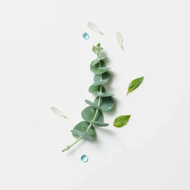 Concentré apaisant fraîcheur et pureté "Astera Head Spa" - Soin du cuir chevelu avant shampoing (50ml/1.69oz)