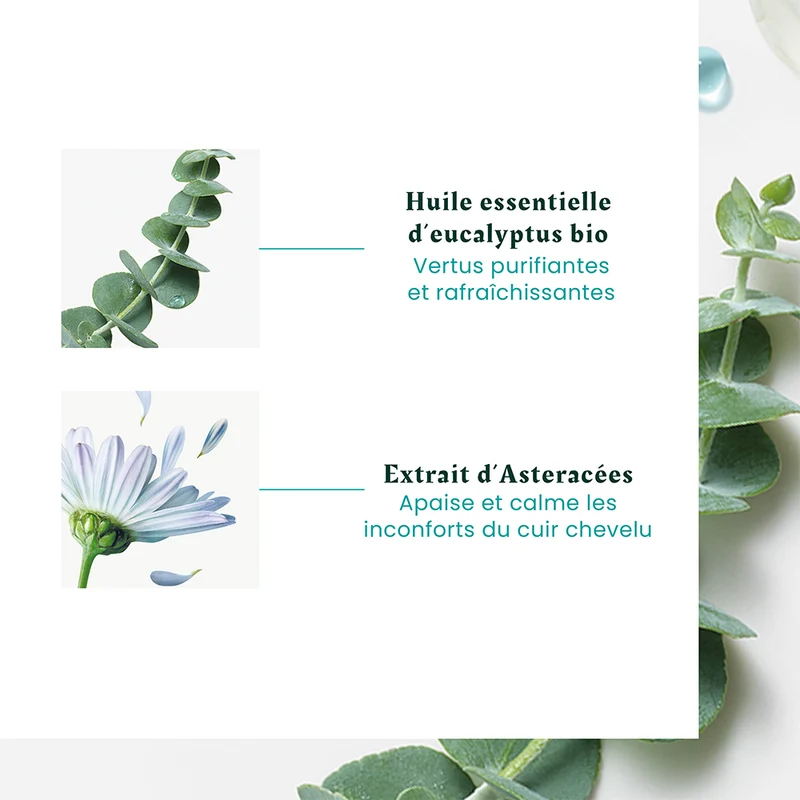 Concentré apaisant fraîcheur et pureté "Astera Head Spa" - Soin du cuir chevelu avant shampoing (50ml/1.69oz)