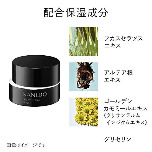 KANEBO Cream In Day 4g SPF20