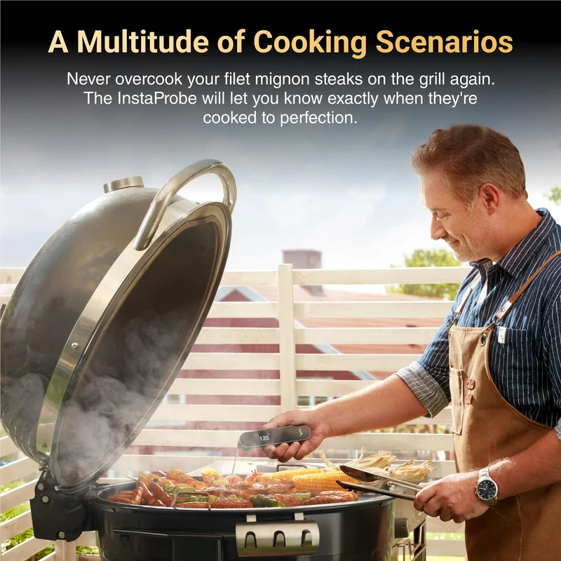 Typhur InstaProbe Core Instant Read Meat Thermometer
