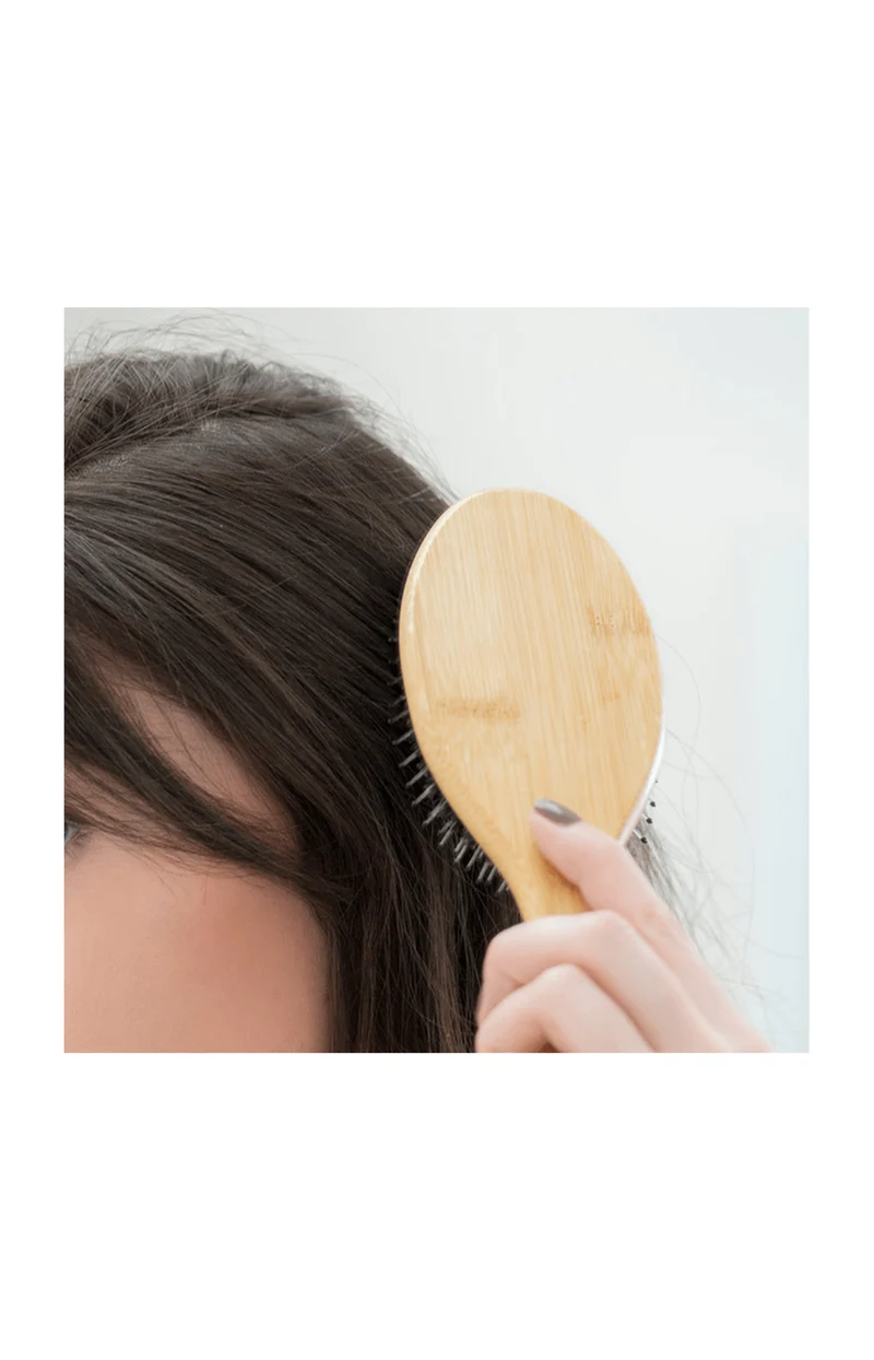 Brosse Anti-Pellicules [Th]