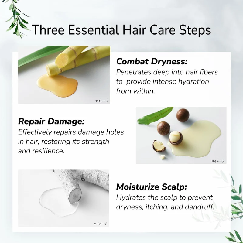 Botanist Botanical Treatment Smooth 490G Plant-Derived Hair Care