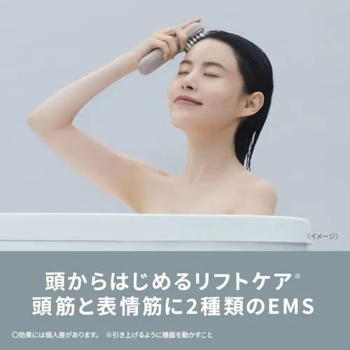 Panasonic Vitalift EMS Electric Face Brush Ion Glaze EH-SP60-H AC100-240V