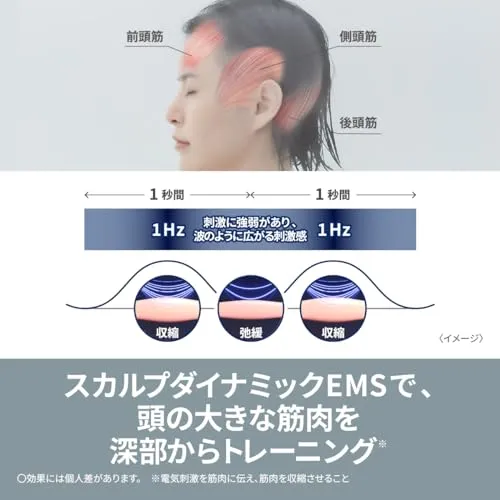 Panasonic Vitalift EMS Electric Face Brush Ion Glaze EH-SP60-H AC100-240V
