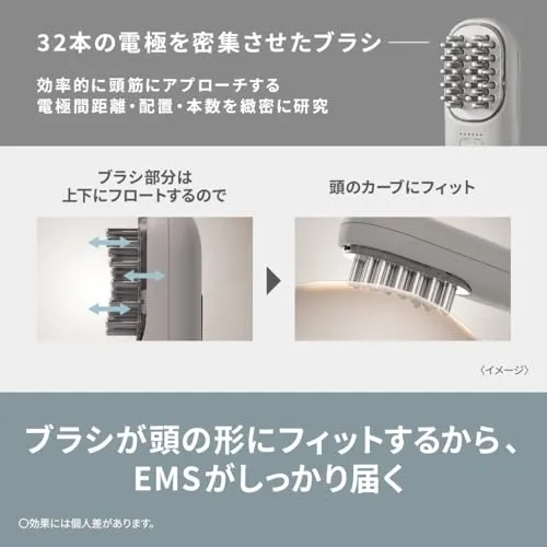 Panasonic Vitalift EMS Electric Face Brush Ion Glaze EH-SP60-H AC100-240V