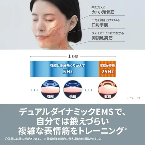 Panasonic Vitalift EMS Electric Face Brush Ion Glaze EH-SP60-H AC100-240V