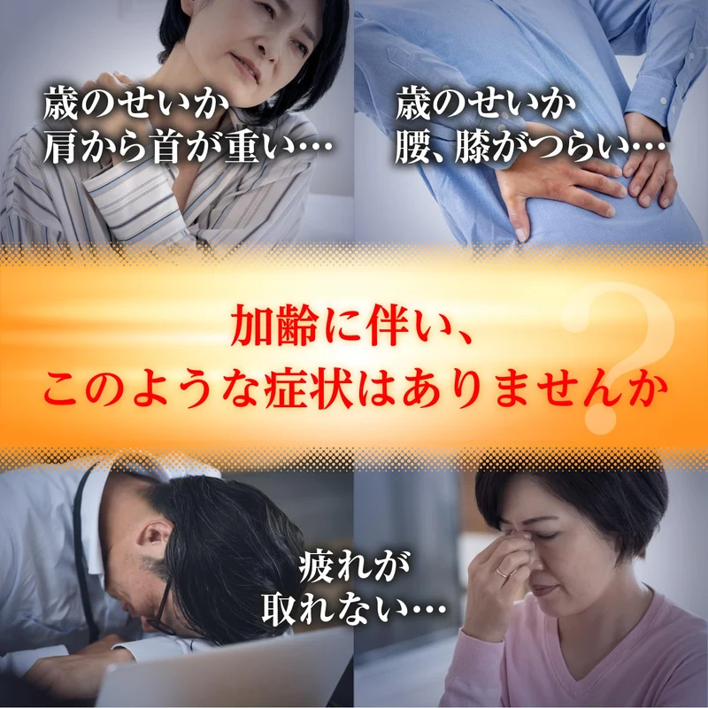Taisho Lipovitan DX PLUS Tablets
