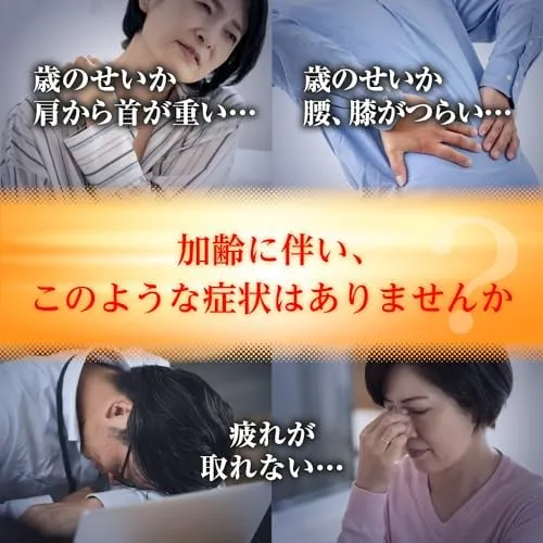 Taisho Lipovitan DX PLUS Tablets