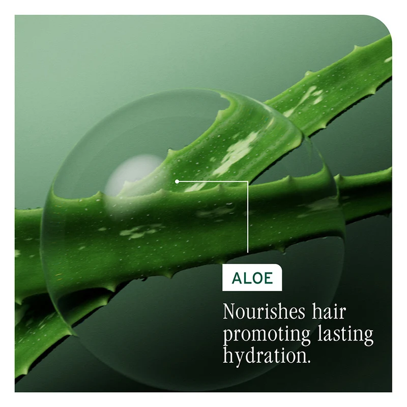 Shampoing concentré d'hydratation "Hydra Source"