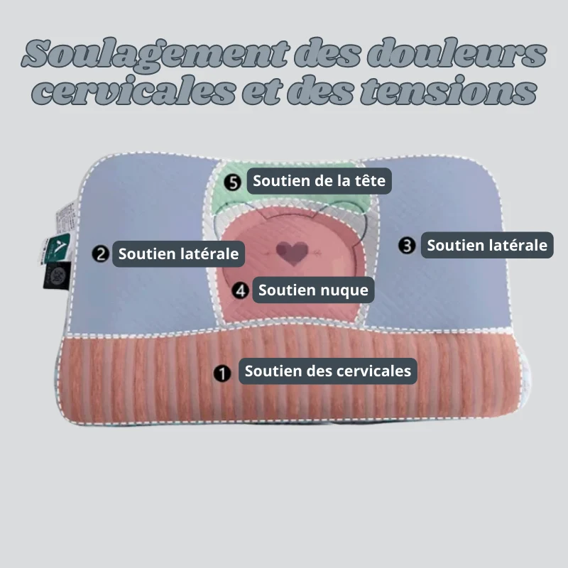 Oreiller Cervical AntiBactérien à Haut Rebond