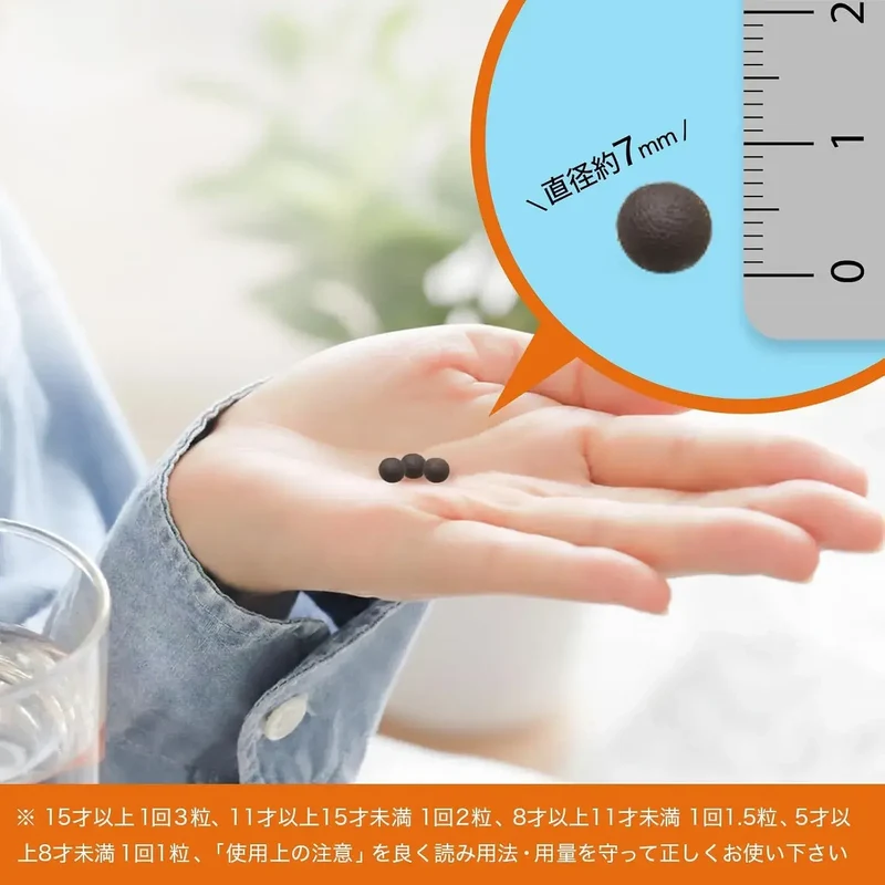 Taiko Pharmaceutical Seirogan Dentist OTC Medicine 100 Tablets