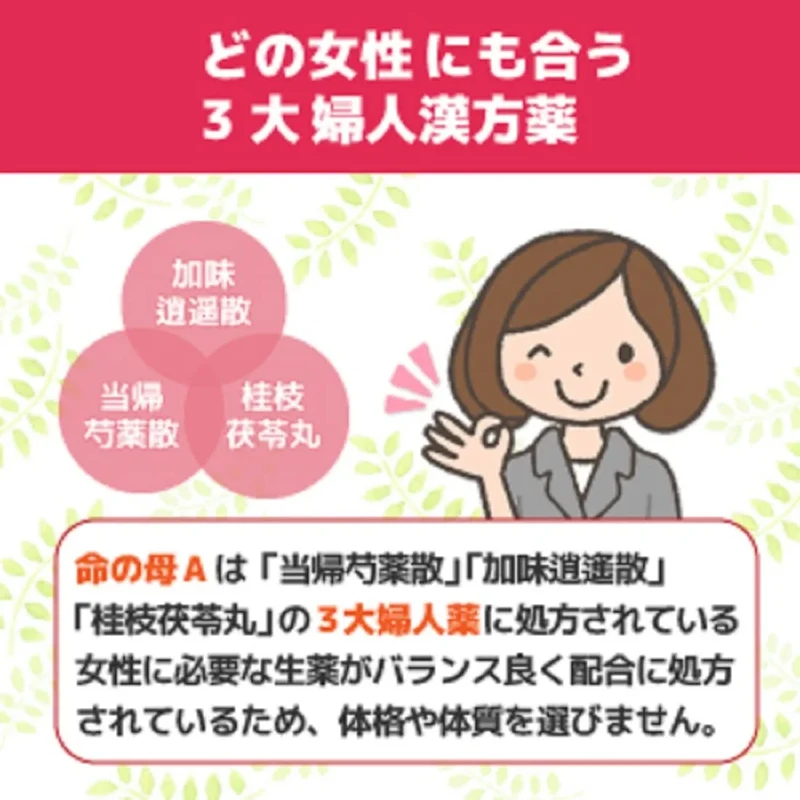 Kobayashi Inochi No Haha Women's Health Tablets 840 Count 2-Pack