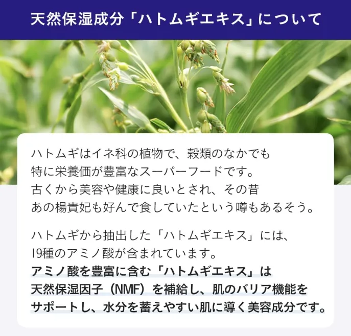 Hatomugi Skin Conditioner 500ml Japanese Skincare Duo Pack