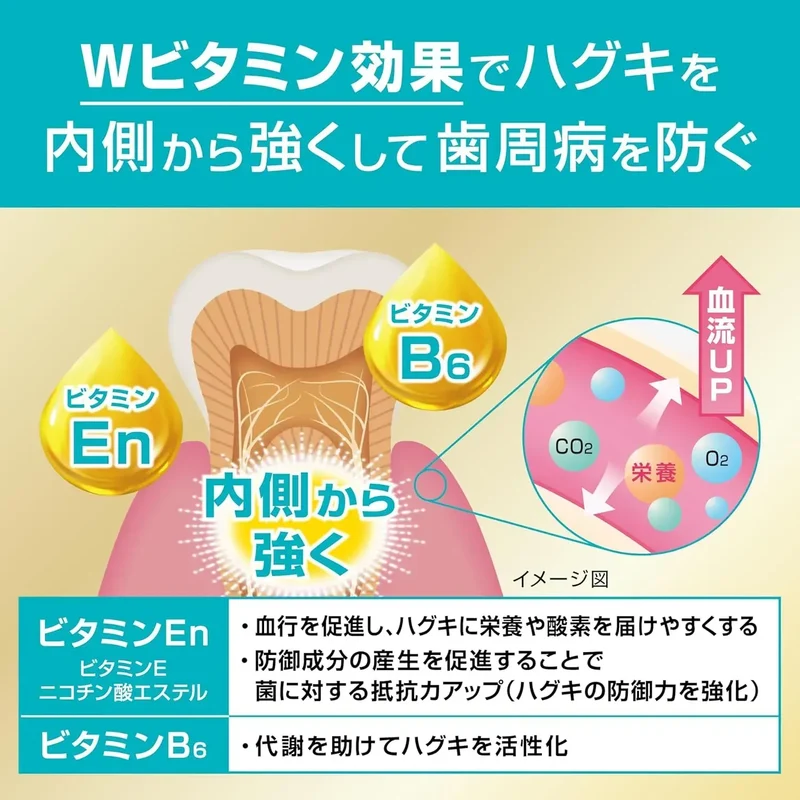 Gum Premium Huggki Care Quasi Drug Periodontal Toothpaste 3.0 oz