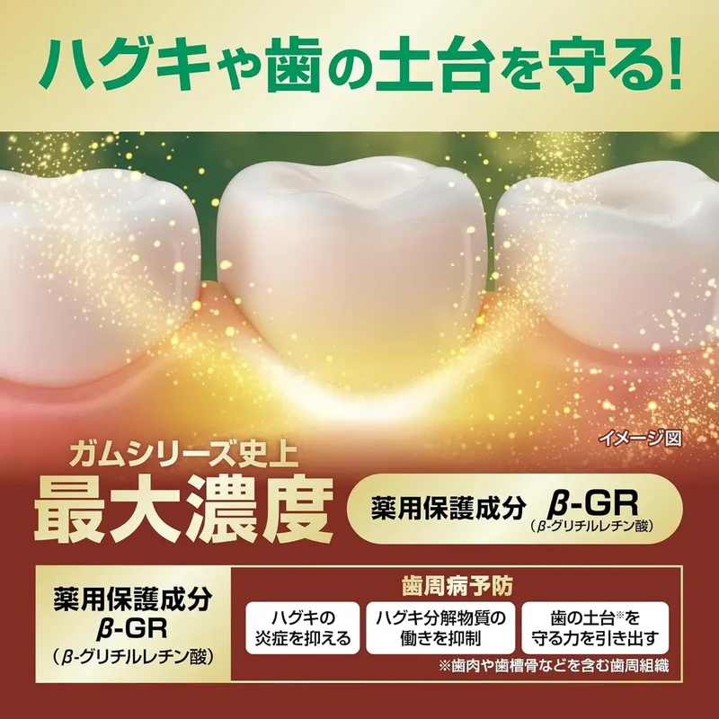 Gum Premium Toothpaste Mint Periodontal Disease Prevention 85g
