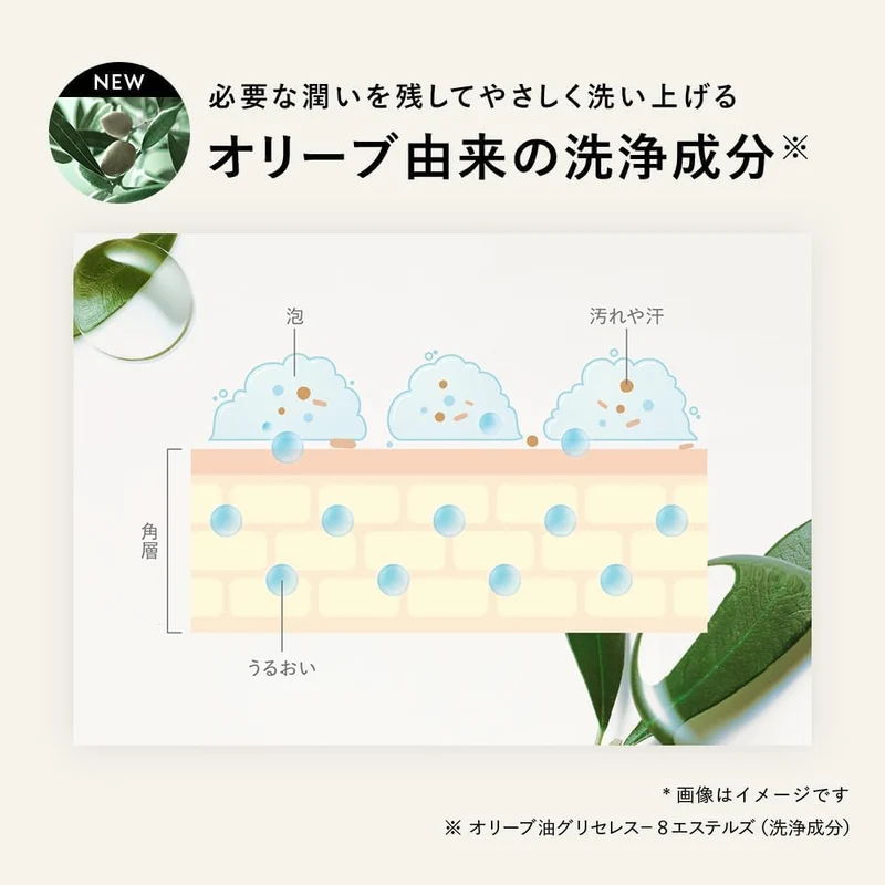 Botanist Moisturizing Body Soap 490ml by Botanist