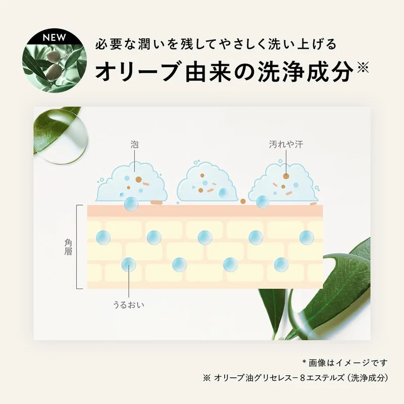 Botanist Moisturizing Body Soap Refill Large Capacity