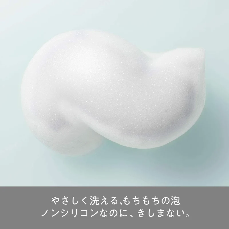 Hair Recipe Wa No Mi Volumizing Hair Treatment with Japanese Rice Oil 350G