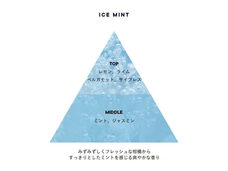 Shiro Ice Mint Conditioner 270G Refreshing Hair Care Solution