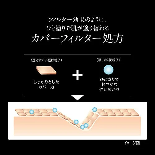 Kanebo KATE Case for KATE Skin Cover Filter Foundation