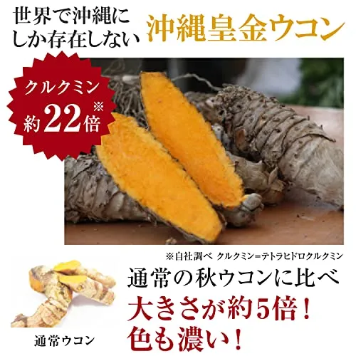 Ryuku Shugo Densetsu Turmeric Hangover Cure UKON Supplements Okinawa Japan