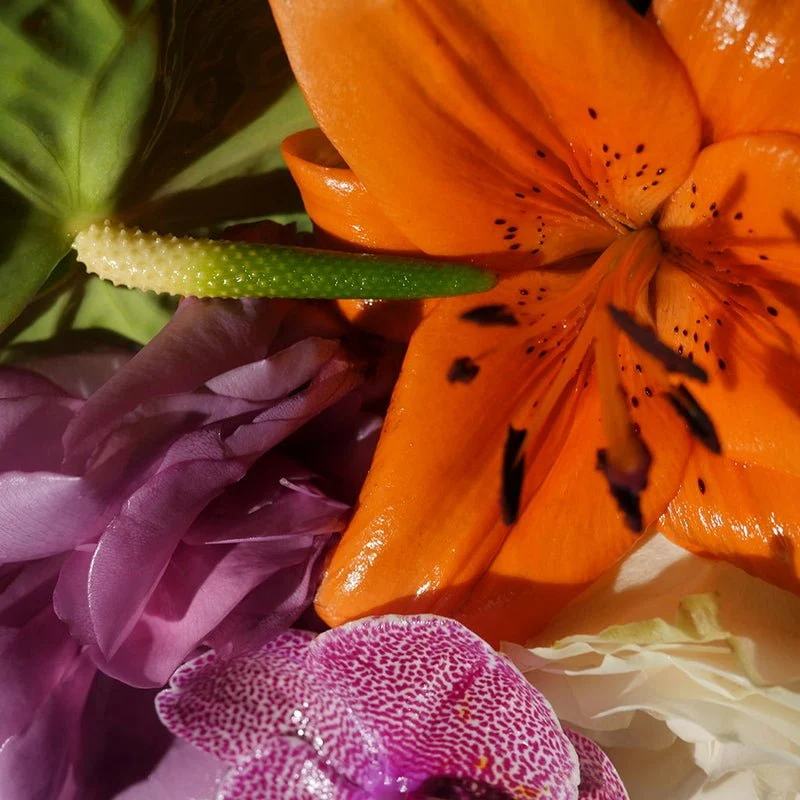 Pistil Whip Eau de Parfum