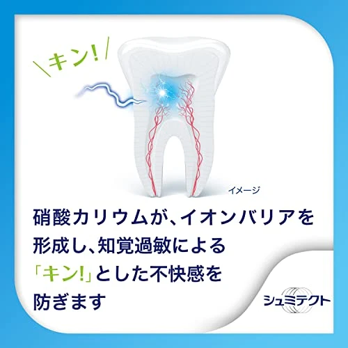 Schmitect Complete One EX Toothpaste for Sensory Hypersensitivity