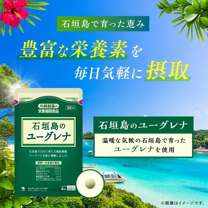 Kobayashi Pharmaceutical Euglena Supplement for Balanced Nutrition 120 Tablets