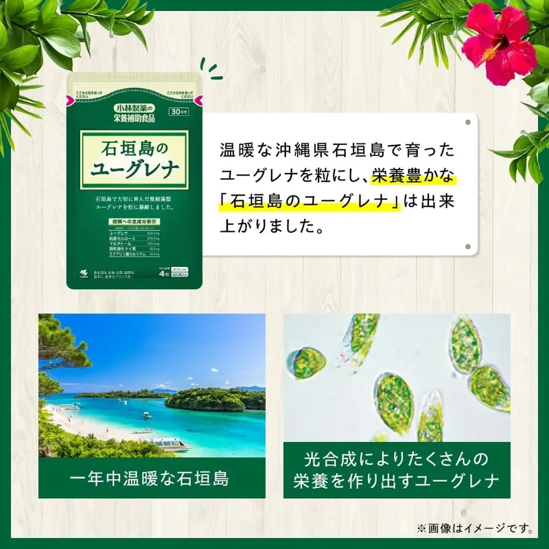Kobayashi Pharmaceutical Euglena Supplement for Balanced Nutrition 120 Tablets