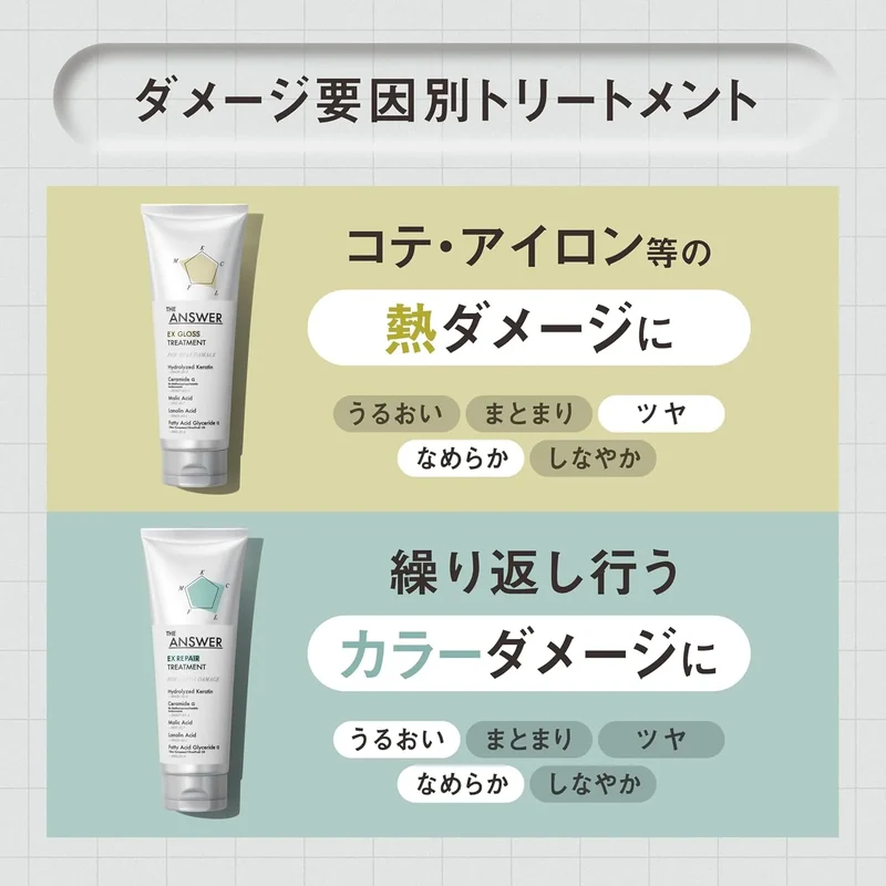 The Answer EX Moist Treatment Daily Damage Repair 7.8 oz