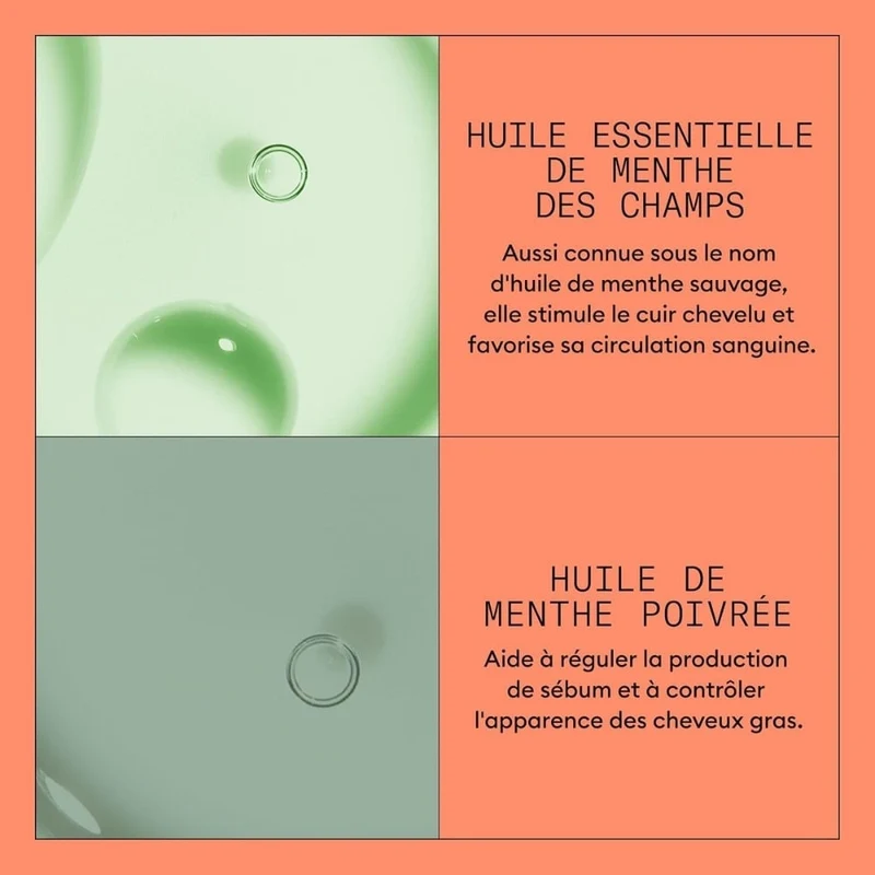 Revitalisant cheveux + cuir chevelu Système 4 - Pour cheveux colorés avec chute avancée