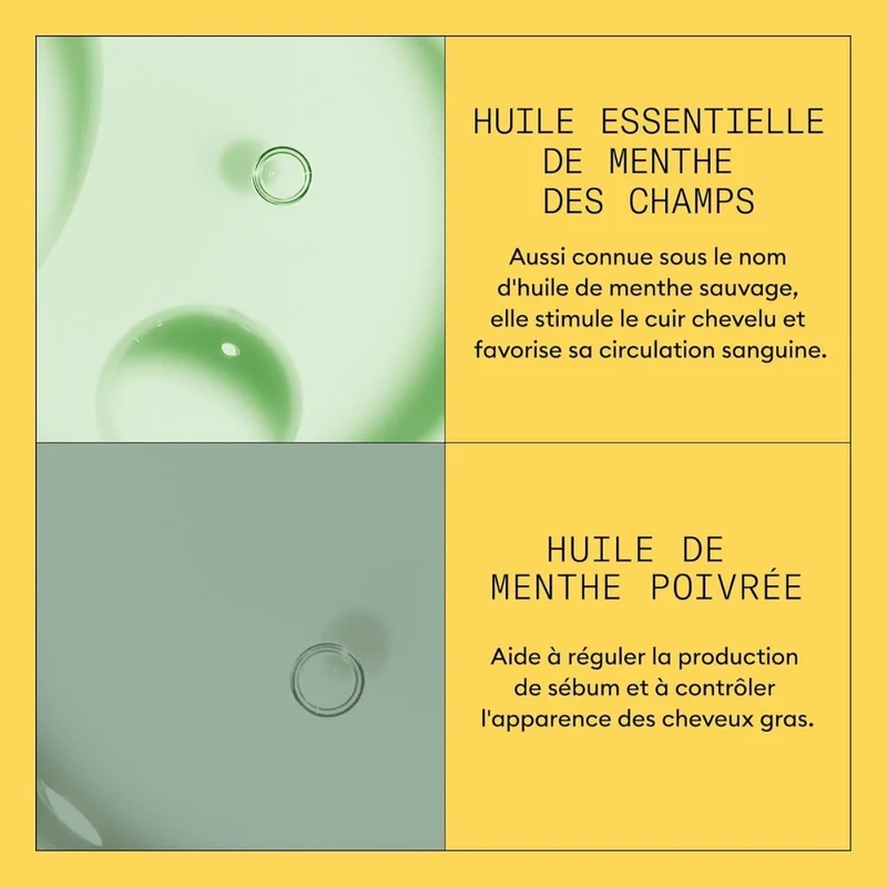 Revitalisant cheveux + cuir chevelu Système 1 - Pour cheveux naturels avec chute modérée