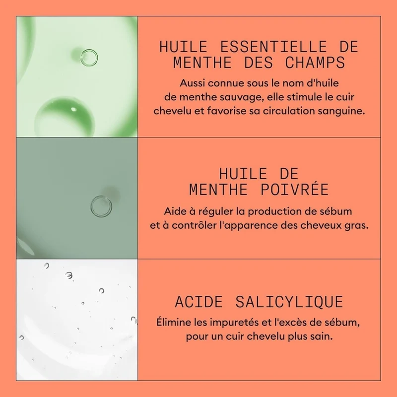 Shampoing cheveux + cuir chevelu Système 4 - Pour cheveux colorés avec chute avancée