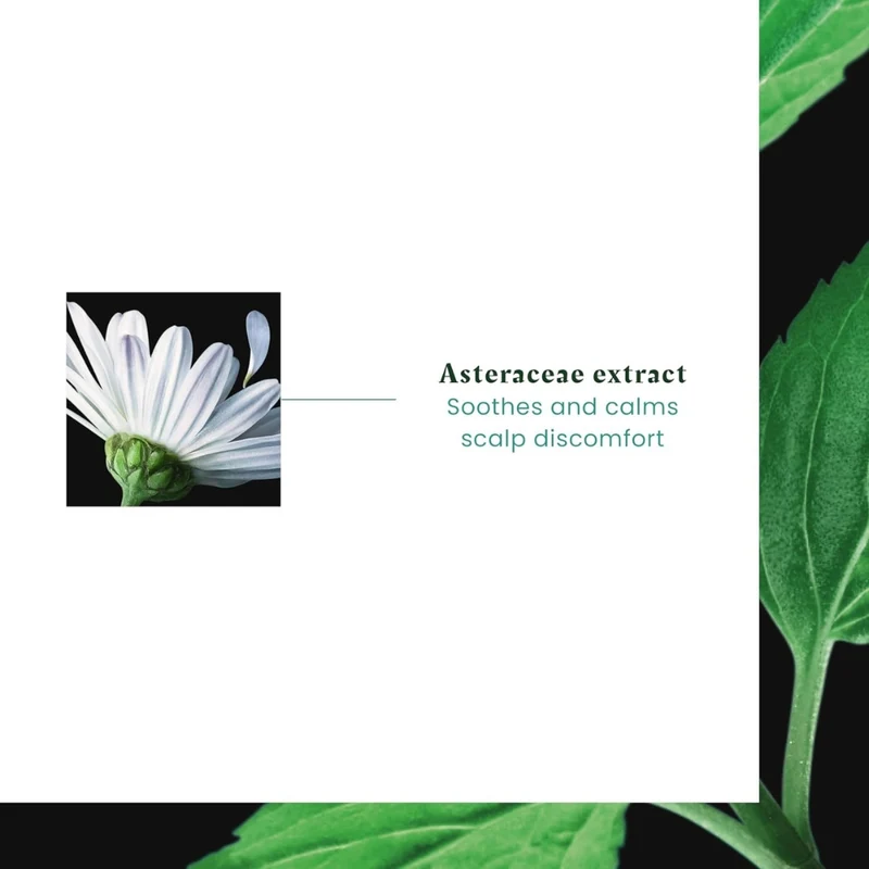 Shampoing dermo-protecteur haute tolérance "Astera Sensitive" hypoallergénique - Pour cuir chevelu sensible