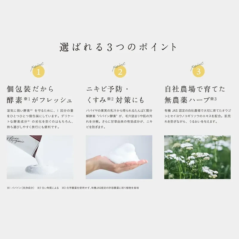 Chant A Charm Powder Wash Enzyme Acne Skin Cleanser 34 Pkts