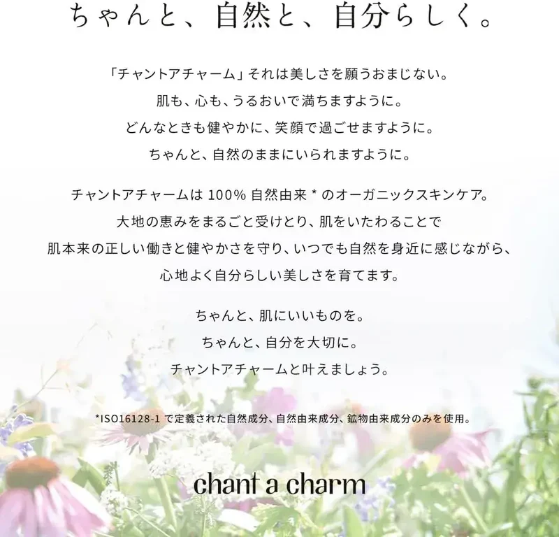 Chant A Charm Powder Wash Enzyme Acne Skin Cleanser 34 Pkts