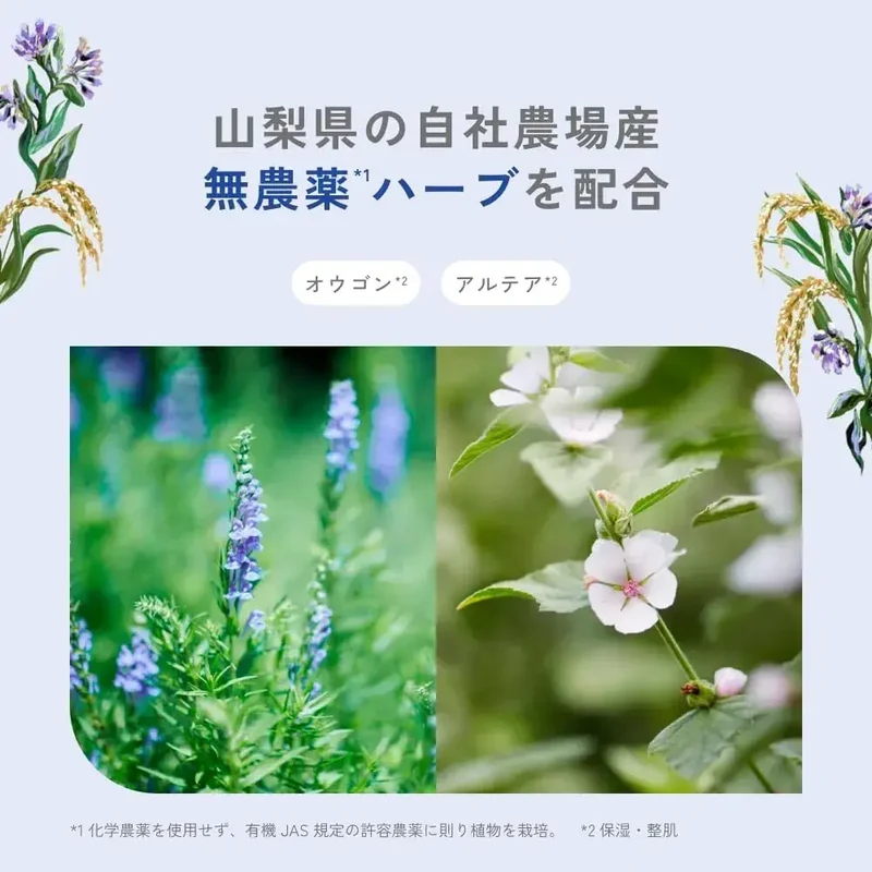 Chant Charm Peel Care Oil Keratolytic Facial Serum 30ml