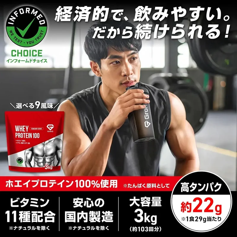 GronG Whey Protein Standard Chocolate with Vitamins Powder